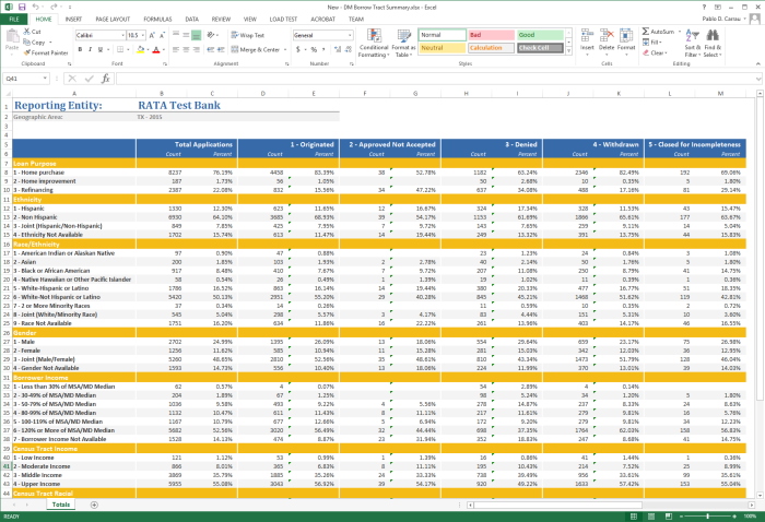 DataMine Borrower Tract Summary in Excel, breaking applications down by loan purpose, ethnicity, race, gender, borrower income and census tract characteristics against six action-taken columns